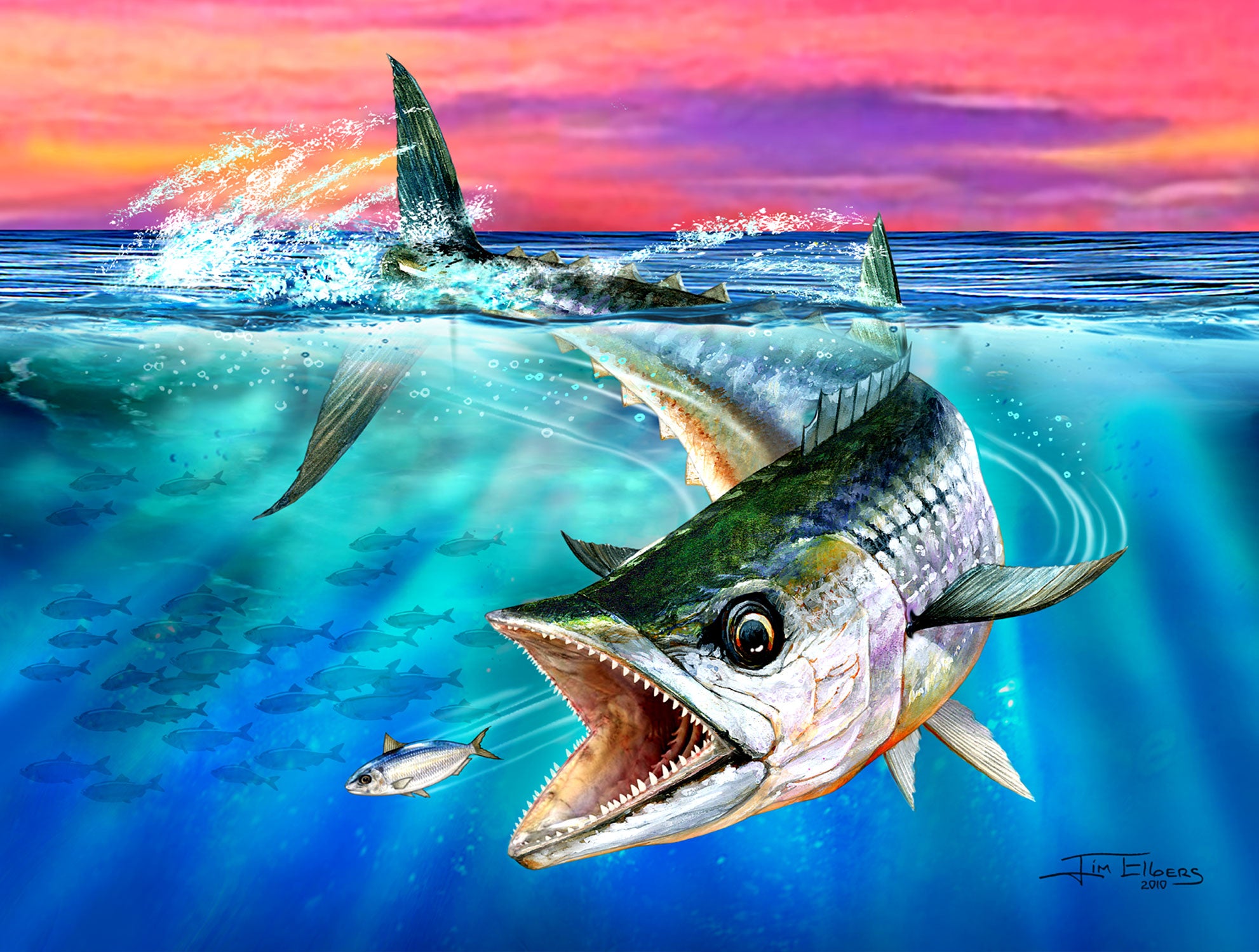 Slam collections Kingfish Giclee 16X20