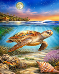 Slam Collections Loggerhead-Island Print  16x20