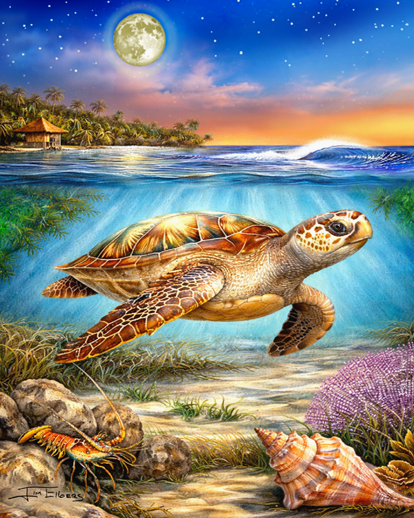 Slam Collections Loggerhead-Island Print  16x20