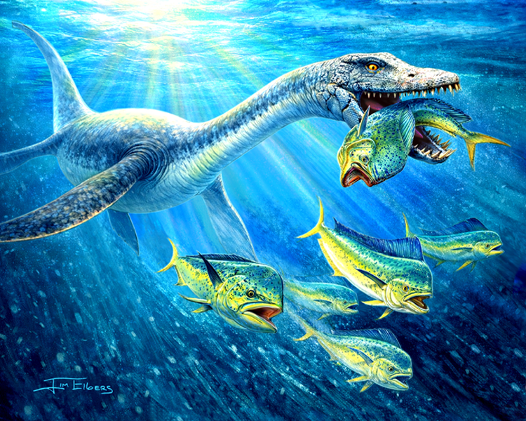 Slam Collections   Plesiosaur  Print  16x20