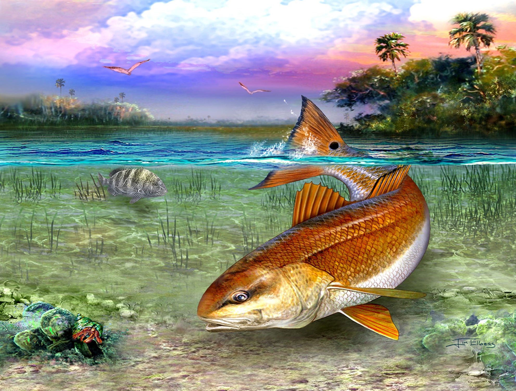 Slam collections Redfish-Morning Giclee 16X20