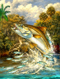 Slam collections Snook-Cove II Giclee 16X20
