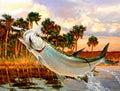 Slam collections Tarpon-Backwater Giclee 16X20