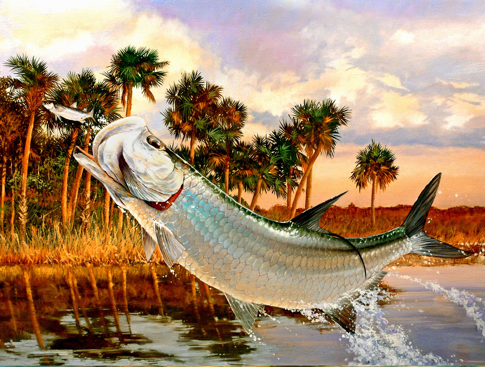 Slam collections Tarpon-Backwater Giclee 16X20